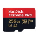 256GB SD Card