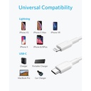 iPhone Lightning to USB Cable (1m)