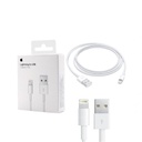 iPhone Lightning to USB Cable (1m)